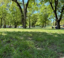 furlo